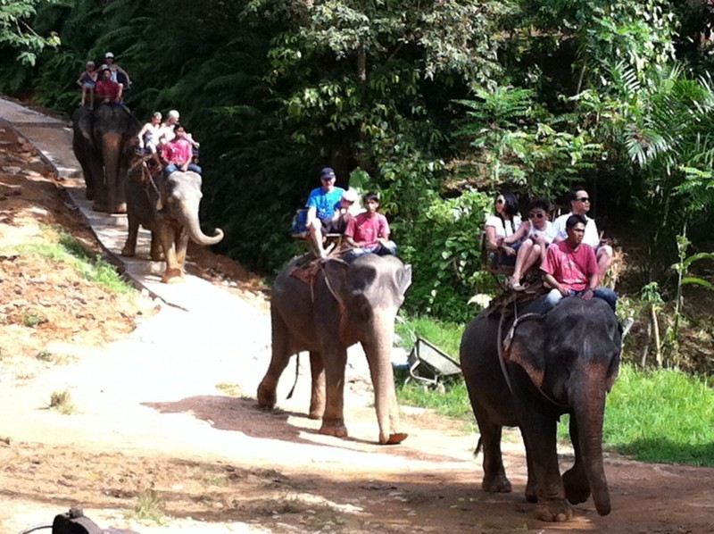 KhaoLak Safari  Full Day /A/